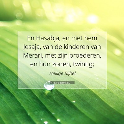 Picture 07 - Ezra 8:19 NLD - En Hasabja, en met hem Jesaja, van de kinderen - Bible Verse Picture