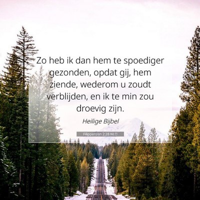 Picture 07 - Filippenzen 2:28 NLD - Zo heb ik dan hem te spoediger gezonden, opdat - Bible Verse Picture