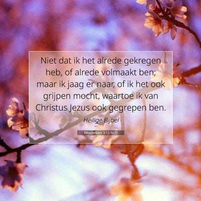 Picture 07 - Filippenzen 3:12 NLD - Niet dat ik het alrede gekregen heb, of alrede - Bible Verse Picture