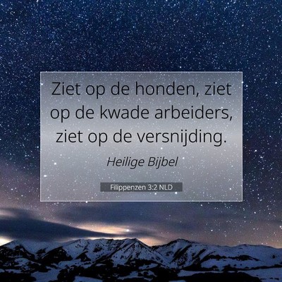 Picture 07 - Filippenzen 3:2 NLD - Ziet op de honden, ziet op de kwade arbeiders, - Bible Verse Picture