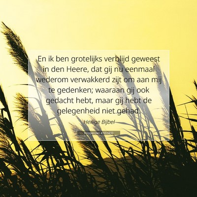 Picture 07 - Filippenzen 4:10 NLD - En ik ben grotelijks verblijd geweest in den - Bible Verse Picture