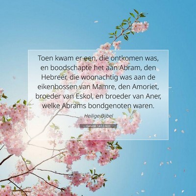 Picture 07 - Genesis 14:13 NLD - Toen kwam er een, die ontkomen was, en - Bible Verse Picture