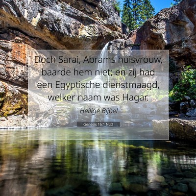 Picture 07 - Genesis 16:1 NLD - Doch Sarai, Abrams huisvrouw, baarde hem niet; en - Bible Verse Picture