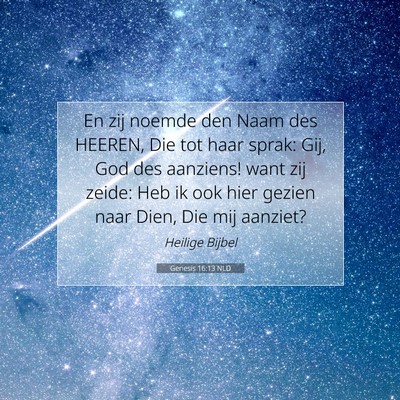 Picture 07 - Genesis 16:13 NLD - En zij noemde den Naam des HEEREN, Die tot haar - Bible Verse Picture