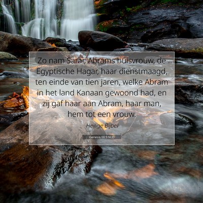 Picture 07 - Genesis 16:3 NLD - Zo nam Sarai, Abrams huisvrouw, de Egyptische - Bible Verse Picture