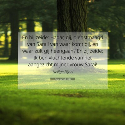 Picture 07 - Genesis 16:8 NLD - En hij zeide: Hagar, gij, dienstmaagd van Sarai! - Bible Verse Picture