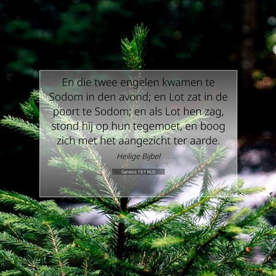 Picture 07 - Genesis 19:1 NLD - En die twee engelen kwamen te Sodom in den avond; - Bible Verse Picture