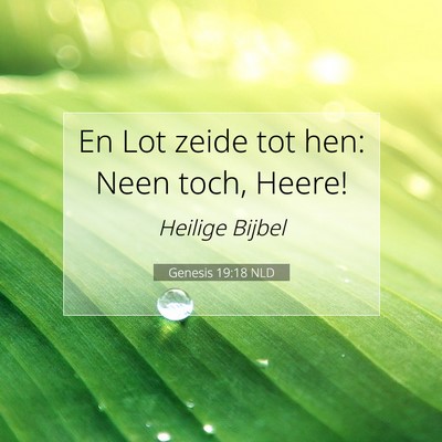 Picture 07 - Genesis 19:18 NLD - En Lot zeide tot hen: Neen toch, - Bible Verse Picture