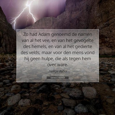 Picture 07 - Genesis 2:20 NLD - Zo had Adam genoemd de namen van al het vee, en - Bible Verse Picture