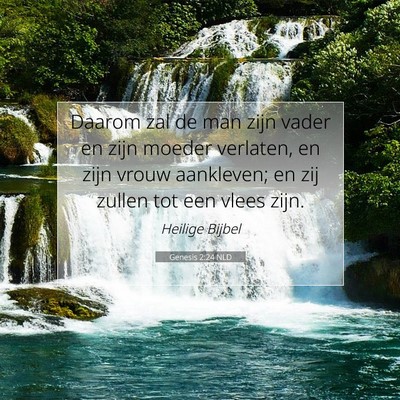 Picture 07 - Genesis 2:24 NLD - Daarom zal de man zijn vader en zijn moeder - Bible Verse Picture