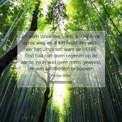 Picture 07 - Genesis 2:5 NLD - En allen struik des velds, eer hij in de aarde - Bible Verse Picture