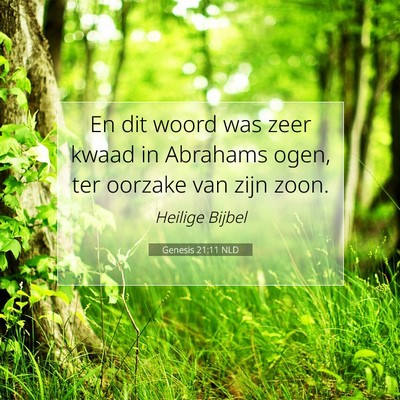 Picture 07 - Genesis 21:11 NLD - En dit woord was zeer kwaad in Abrahams ogen, ter - Bible Verse Picture