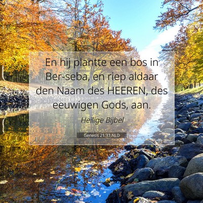Picture 07 - Genesis 21:33 NLD - En hij plantte een bos in Ber-seba, en riep - Bible Verse Picture