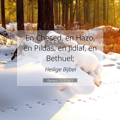Picture 07 - Genesis 22:22 NLD - En Chesed, en Hazo, en Pildas, en Jidlaf, en - Bible Verse Picture