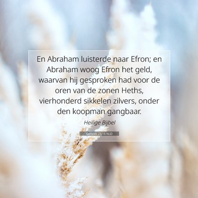Picture 07 - Genesis 23:16 NLD - En Abraham luisterde naar Efron; en Abraham woog - Bible Verse Picture