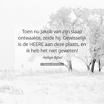 Picture 07 - Genesis 28:16 NLD - Toen nu Jakob van zijn slaap ontwaakte, zeide - Bible Verse Picture