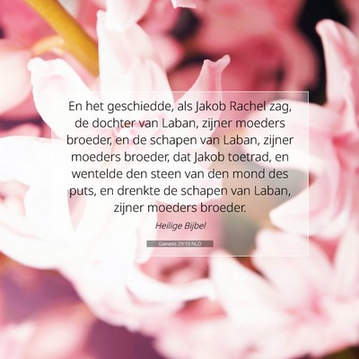 Picture 07 - Genesis 29:10 NLD - En het geschiedde, als Jakob Rachel zag, de - Bible Verse Picture