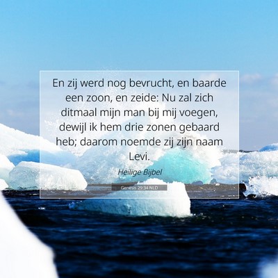 Picture 07 - Genesis 29:34 NLD - En zij werd nog bevrucht, en baarde een zoon, en - Bible Verse Picture