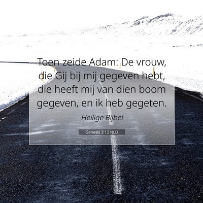 Picture 07 - Genesis 3:12 NLD - Toen zeide Adam: De vrouw, die Gij bij mij - Bible Verse Picture