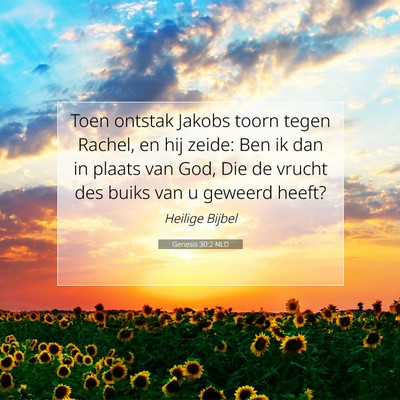 Picture 07 - Genesis 30:2 NLD - Toen ontstak Jakobs toorn tegen Rachel, en hij - Bible Verse Picture