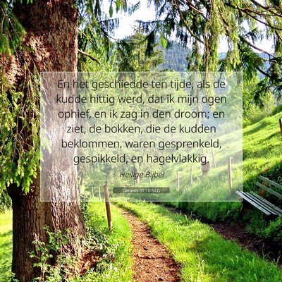Picture 07 - Genesis 31:10 NLD - En het geschiedde ten tijde, als de kudde hittig - Bible Verse Picture