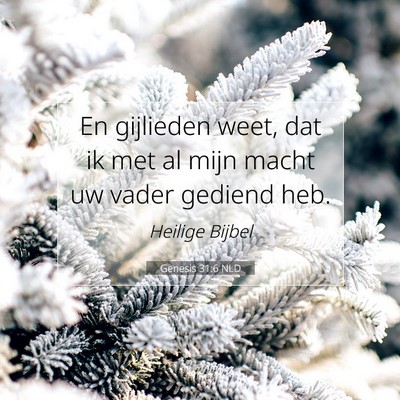 Picture 07 - Genesis 31:6 NLD - En gijlieden weet, dat ik met al mijn macht uw - Bible Verse Picture