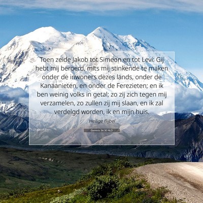 Picture 07 - Genesis 34:30 NLD - Toen zeide Jakob tot Simeon en tot Levi: Gij hebt - Bible Verse Picture