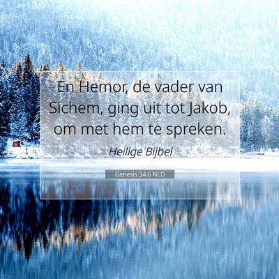 Picture 07 - Genesis 34:6 NLD - En Hemor, de vader van Sichem, ging uit tot - Bible Verse Picture