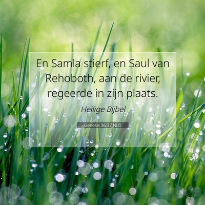 Picture 07 - Genesis 36:37 NLD - En Samla stierf, en Saul van Rehoboth, aan de - Bible Verse Picture