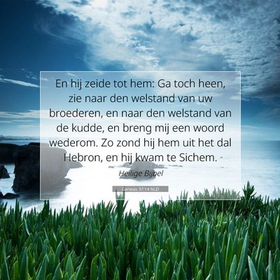Picture 07 - Genesis 37:14 NLD - En hij zeide tot hem: Ga toch heen, zie naar den - Bible Verse Picture