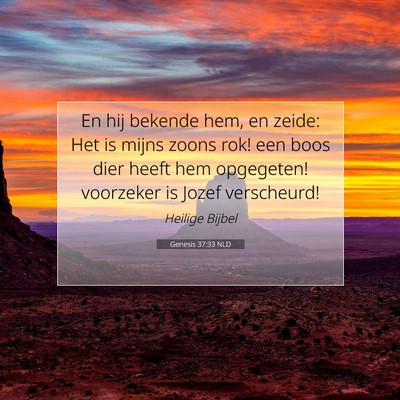 Picture 07 - Genesis 37:33 NLD - En hij bekende hem, en zeide: Het is mijns zoons - Bible Verse Picture