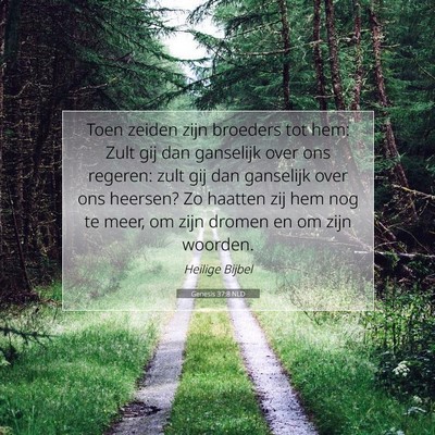 Picture 07 - Genesis 37:8 NLD - Toen zeiden zijn broeders tot hem: Zult gij dan - Bible Verse Picture