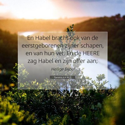 Picture 07 - Genesis 4:4 NLD - En Habel bracht ook van de eerstgeborenen zijner - Bible Verse Picture