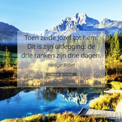 Picture 07 - Genesis 40:12 NLD - Toen zeide Jozef tot hem: Dit is zijn uitlegging: - Bible Verse Picture