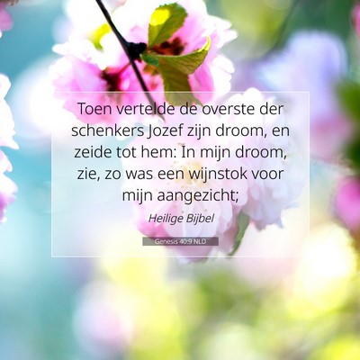 Picture 07 - Genesis 40:9 NLD - Toen vertelde de overste der schenkers Jozef zijn - Bible Verse Picture