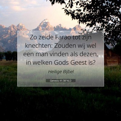 Picture 07 - Genesis 41:38 NLD - Zo zeide Farao tot zijn knechten: Zouden wij wel - Bible Verse Picture