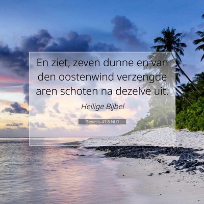 Picture 07 - Genesis 41:6 NLD - En ziet, zeven dunne en van den oostenwind - Bible Verse Picture