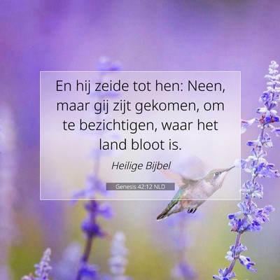 Picture 07 - Genesis 42:12 NLD - En hij zeide tot hen: Neen, maar gij zijt - Bible Verse Picture