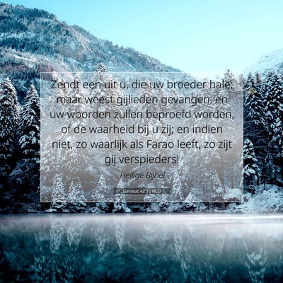 Picture 07 - Genesis 42:16 NLD - Zendt een uit u, die uw broeder hale; maar weest - Bible Verse Picture