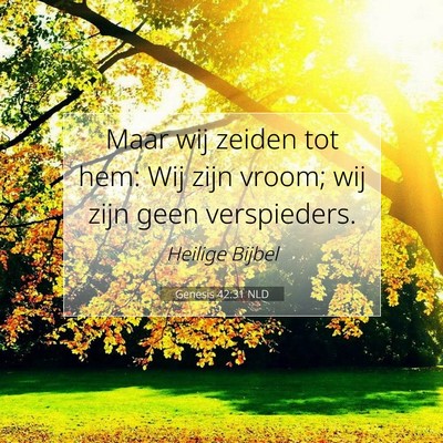 Picture 07 - Genesis 42:31 NLD - Maar wij zeiden tot hem: Wij zijn vroom; wij zijn - Bible Verse Picture