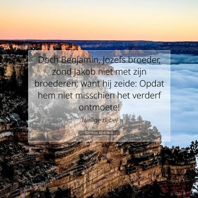 Picture 07 - Genesis 42:4 NLD - Doch Benjamin, Jozefs broeder, zond Jakob niet - Bible Verse Picture