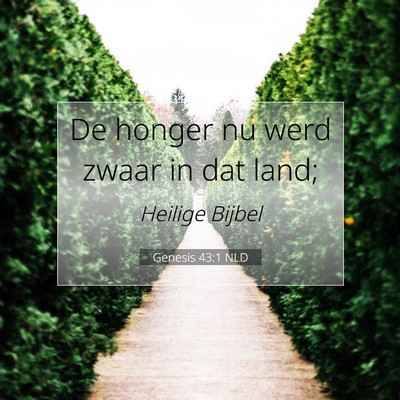 Picture 07 - Genesis 43:1 NLD - De honger nu werd zwaar in dat - Bible Verse Picture