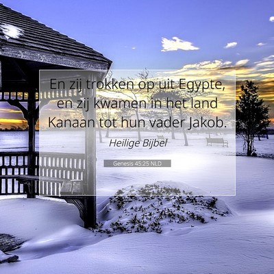 Picture 07 - Genesis 45:25 NLD - En zij trokken op uit Egypte, en zij kwamen in - Bible Verse Picture
