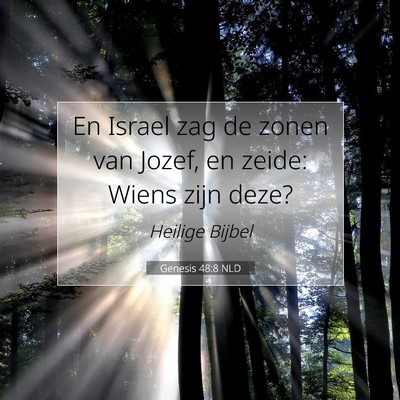 Picture 07 - Genesis 48:8 NLD - En Israel zag de zonen van Jozef, en zeide: Wiens - Bible Verse Picture