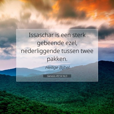 Picture 07 - Genesis 49:14 NLD - Issaschar is een sterk gebeende ezel, - Bible Verse Picture