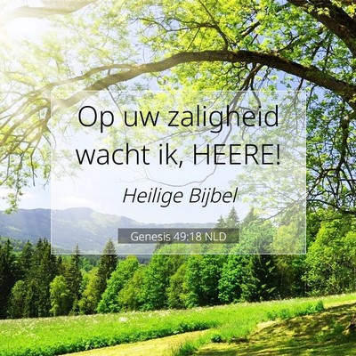 Picture 07 - Genesis 49:18 NLD - Op uw zaligheid wacht ik, - Bible Verse Picture