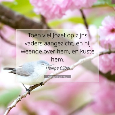 Picture 07 - Genesis 50:1 NLD - Toen viel Jozef op zijns vaders aangezicht, en - Bible Verse Picture