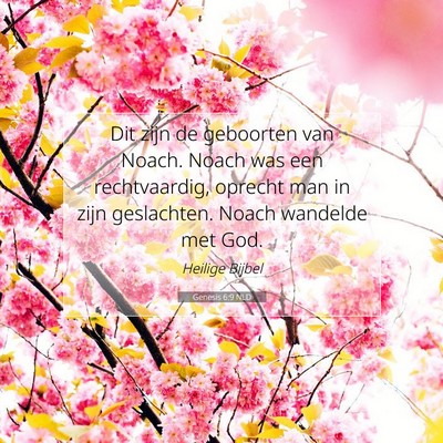 Picture 07 - Genesis 6:9 NLD - Dit zijn de geboorten van Noach. Noach was een - Bible Verse Picture