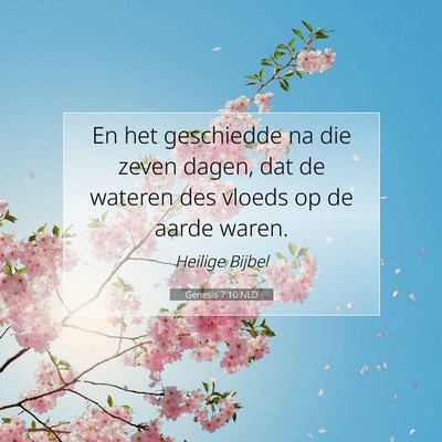 Picture 07 - Genesis 7:10 NLD - En het geschiedde na die zeven dagen, dat de - Bible Verse Picture