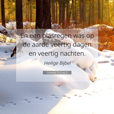 Picture 07 - Genesis 7:12 NLD - En een plasregen was op de aarde veertig dagen en - Bible Verse Picture